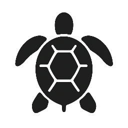 Black Turtle Consulting